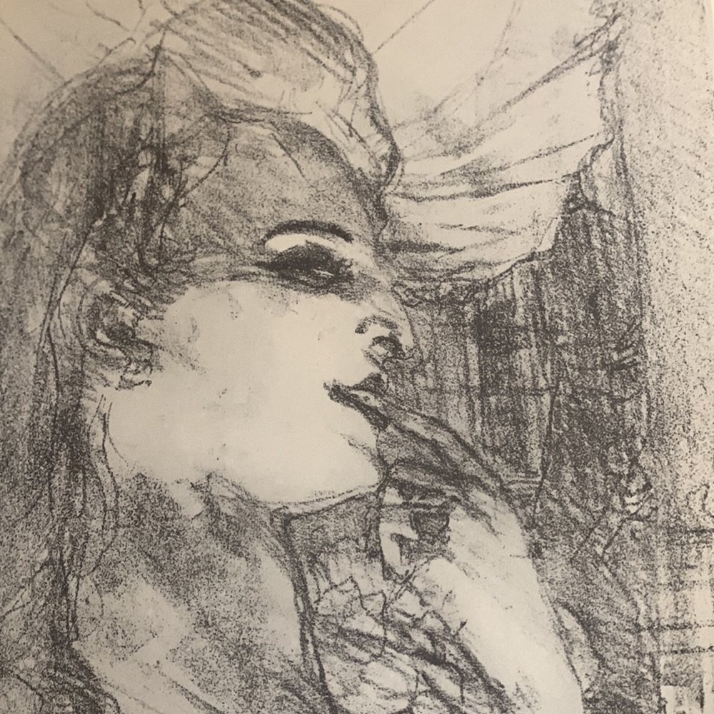 Complete Toulouse-Lautrec Book of His Lithographs and Drypoints by Jean Adhemar - Picture 11 of 16